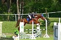 005M3950_Champ of Toscana_Springpferde A